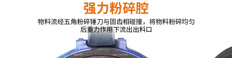 59bb72bad3d59.jpg