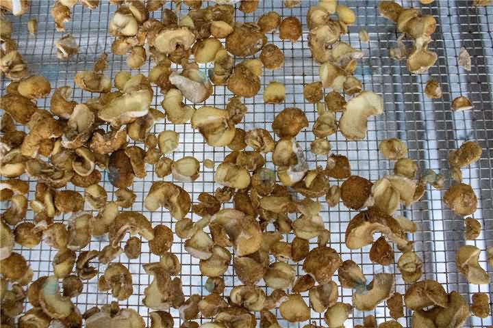 5ed5b9f40631a.jpg