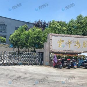 松陽的客戶，調(diào)試30型包子機(jī)完成！