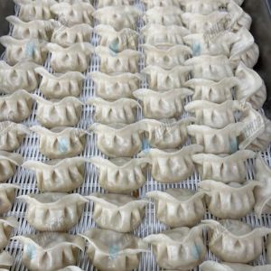 JGB-10型一體式餃子機(jī)現(xiàn)場(chǎng)試機(jī)，效果棒棒噠！！??！